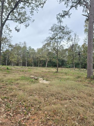 1006 S Houston Avenue, Livingston, TX 77351