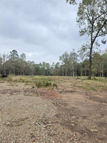 1006 S Houston Avenue, Livingston, TX 77351