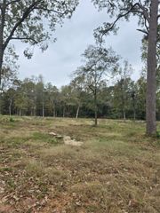 1006 S Houston Avenue, Livingston, TX 77351