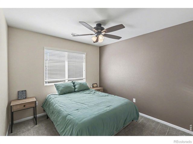 670 Moonglow Drive, Windsor, CO 80550