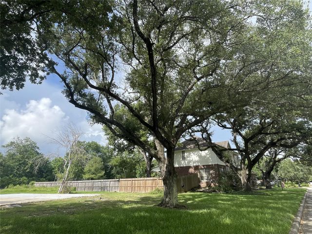 717 Quintana Roo Place, Seabrook, TX 77586