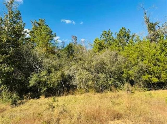 Lot 82 Lakeland Loop, Hillister, TX 77624