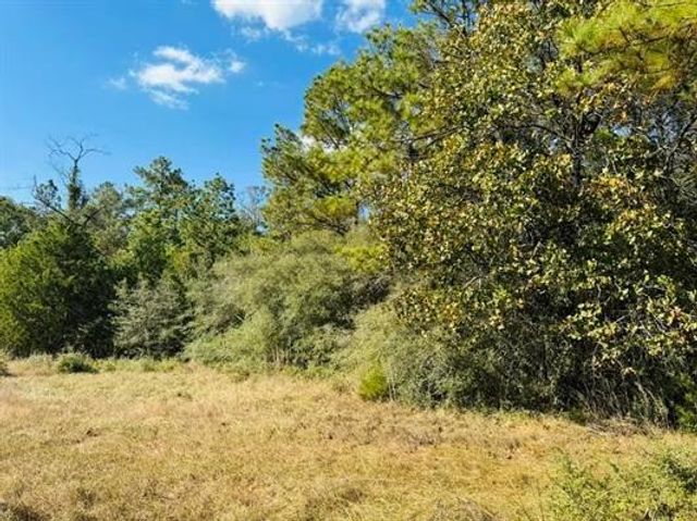 Lot 82 Lakeland Loop, Hillister, TX 77624