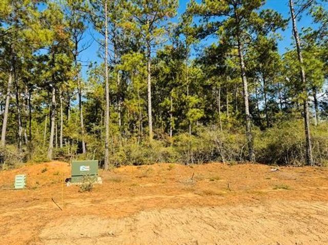 Lot 82 Lakeland Loop, Hillister, TX 77624