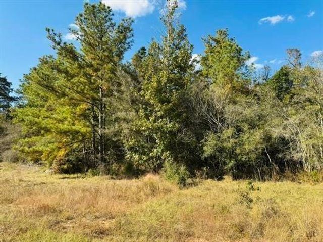 Lot 82 Lakeland Loop, Hillister, TX 77624
