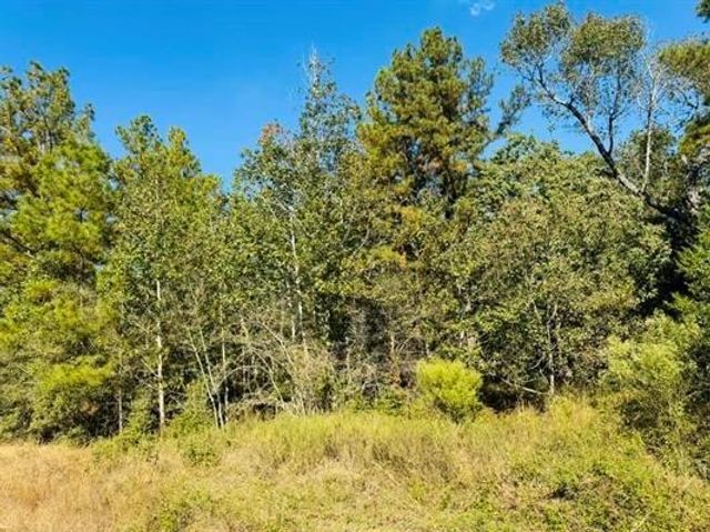 Lot 82 Lakeland Loop, Hillister, TX 77624