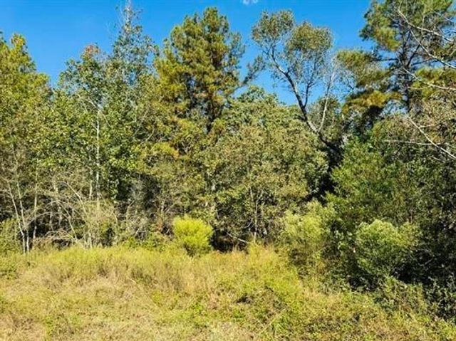 Lot 82 Lakeland Loop, Hillister, TX 77624