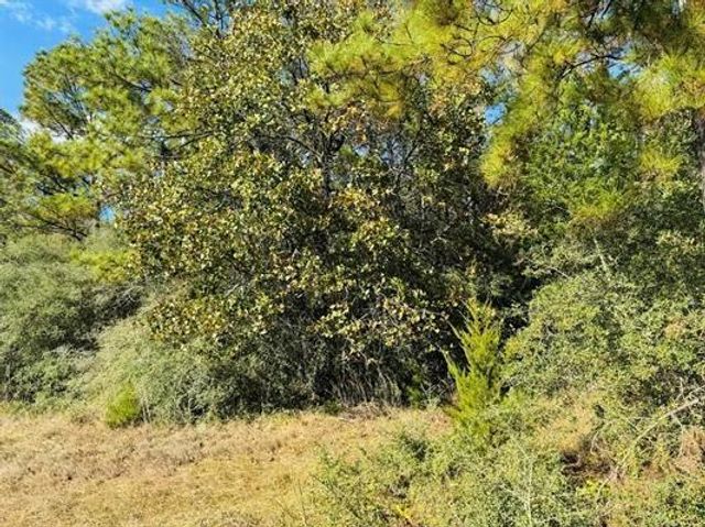 Lot 82 Lakeland Loop, Hillister, TX 77624