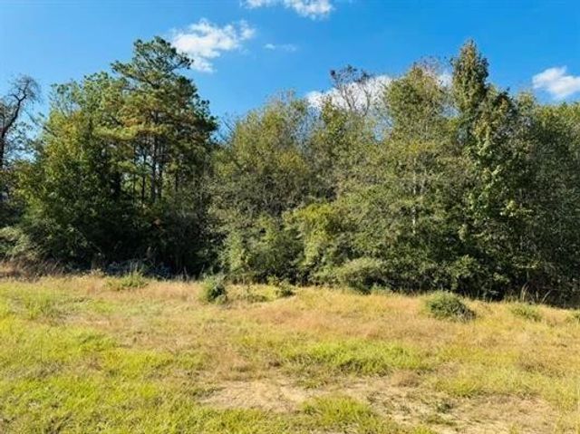 Lot 82 Lakeland Loop, Hillister, TX 77624