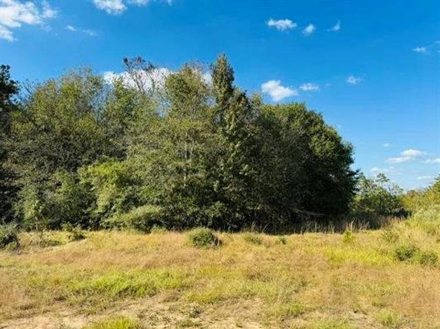 Lot 82 Lakeland Loop, Hillister, TX 77624