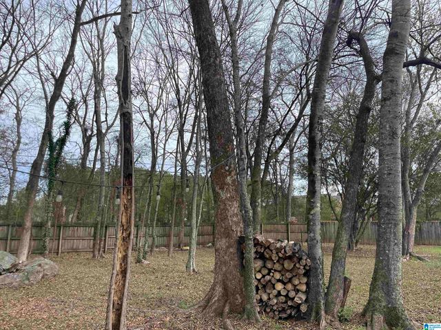 1543 TIMBER DRIVE, Helena, AL 35080