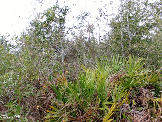 0 Klondyke Road, Youngstown, FL 32466