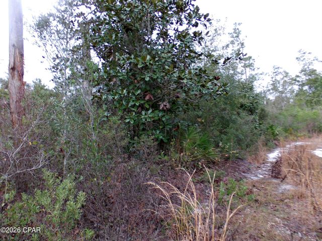 0 Klondyke Road, Youngstown, FL 32466