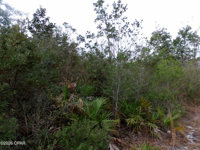 0 Klondyke Road, Youngstown, FL 32466