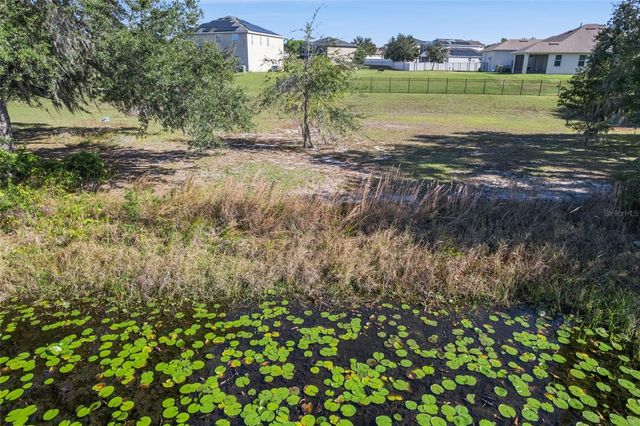 733 BLACK EAGLE DRIVE, Groveland, FL 34736