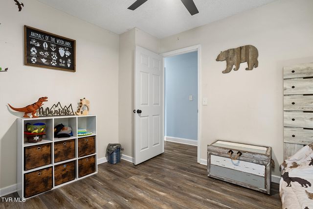 200 Bell Flower Court, Kingsport, TN 37663