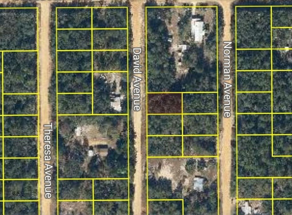 DAVID AVENUE, Interlachen, FL 32148