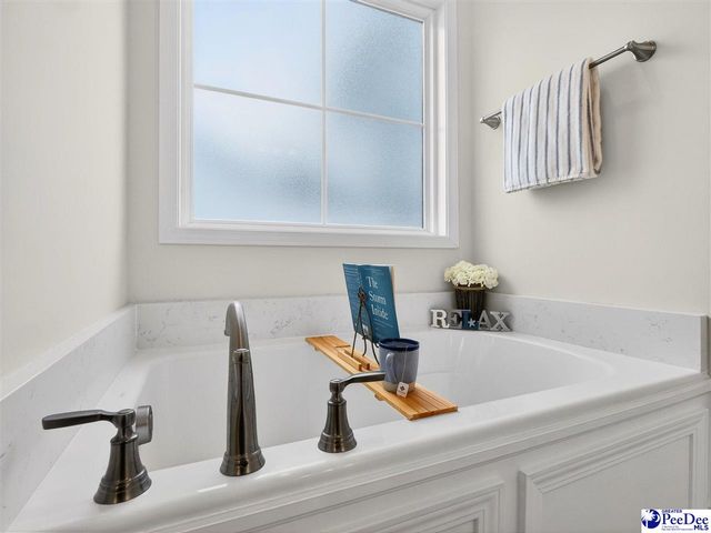 3245 Spiral Ln, Effingham, SC 29541