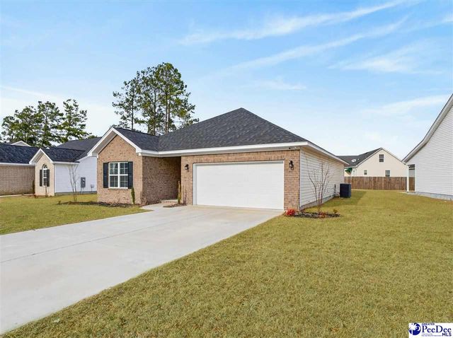 3245 Spiral Ln, Effingham, SC 29541
