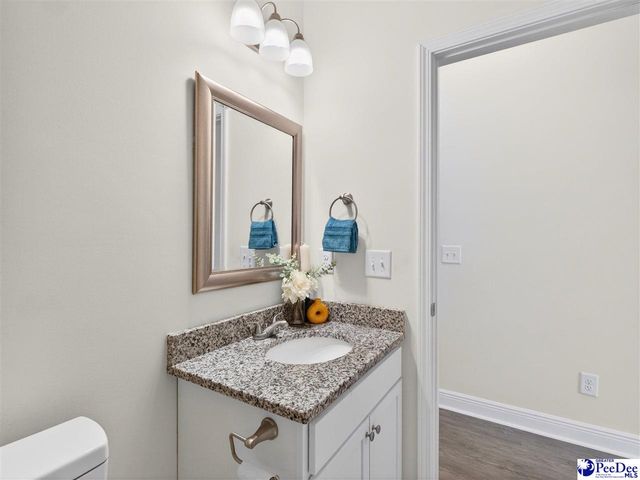 3245 Spiral Ln, Effingham, SC 29541