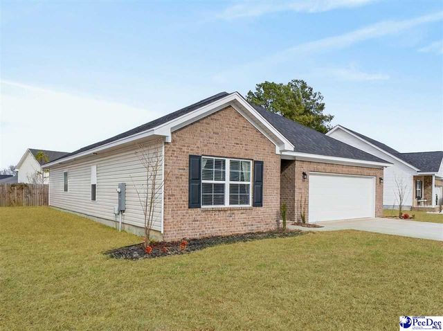 3245 Spiral Ln, Effingham, SC 29541
