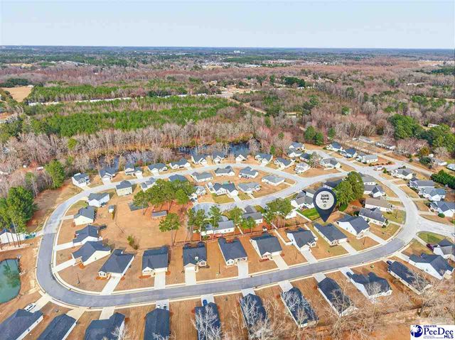 3245 Spiral Ln, Effingham, SC 29541
