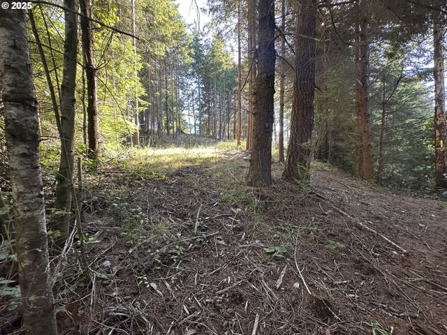 97450 KADORA Ln, North Bend, OR 97459