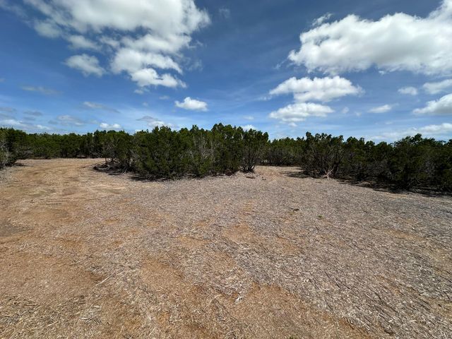 251 StarGazer DR, Lampasas, TX 76550