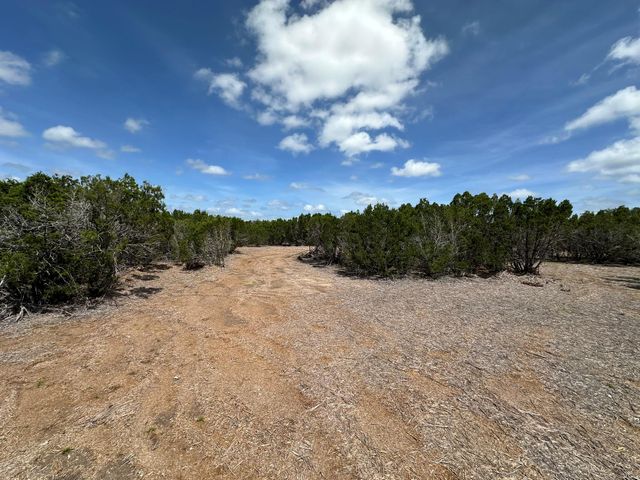 251 StarGazer DR, Lampasas, TX 76550