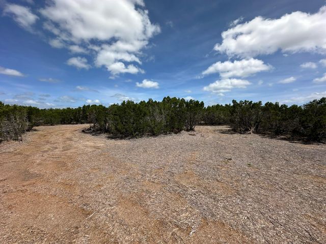 251 StarGazer DR, Lampasas, TX 76550