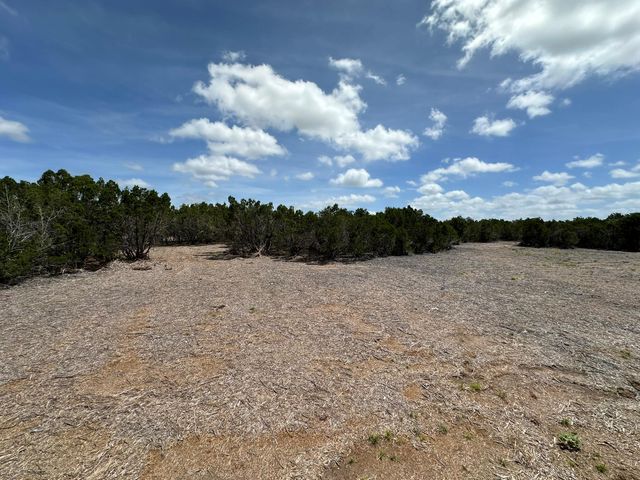 251 StarGazer DR, Lampasas, TX 76550