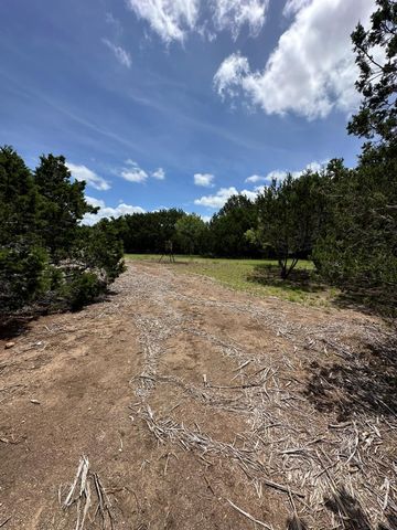 251 StarGazer DR, Lampasas, TX 76550