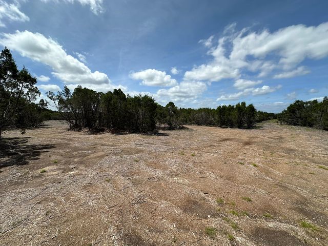 251 StarGazer DR, Lampasas, TX 76550