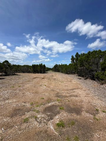 251 StarGazer DR, Lampasas, TX 76550