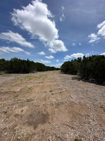 251 StarGazer DR, Lampasas, TX 76550