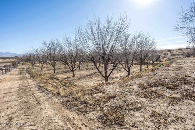 201 Squirrel Road, Las Cruces, NM 88007