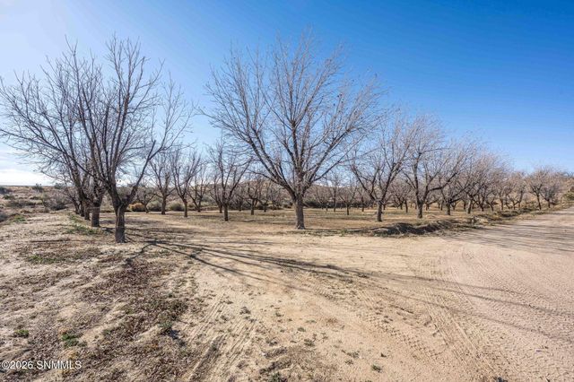 201 Squirrel Road, Las Cruces, NM 88007