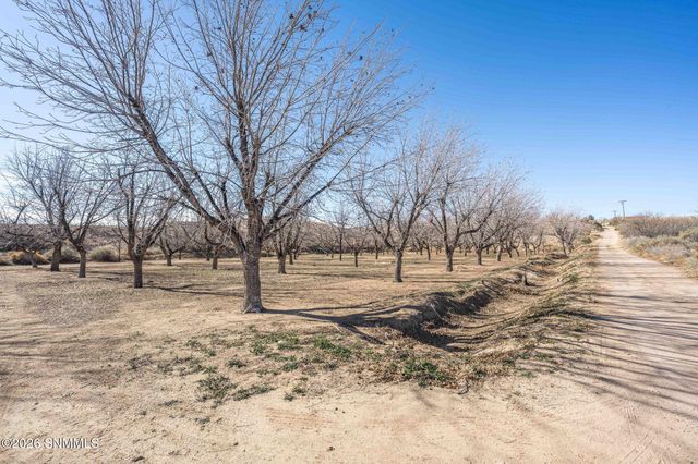 201 Squirrel Road, Las Cruces, NM 88007