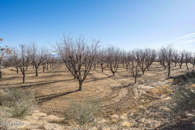 201 Squirrel Road, Las Cruces, NM 88007