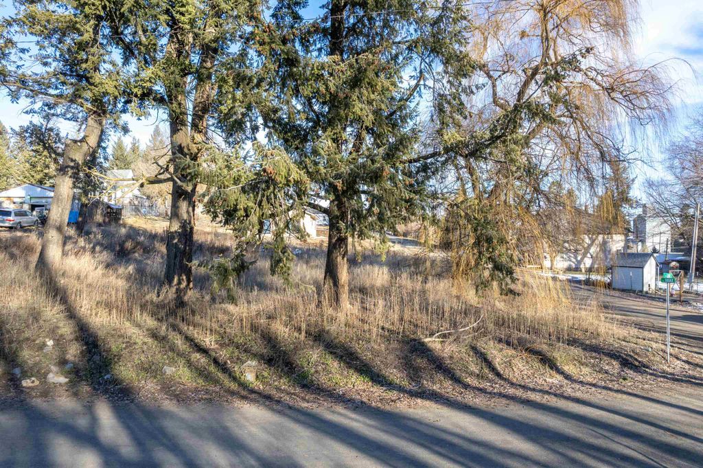 XXX Truax St, Tekoa, WA 99003 photo 5