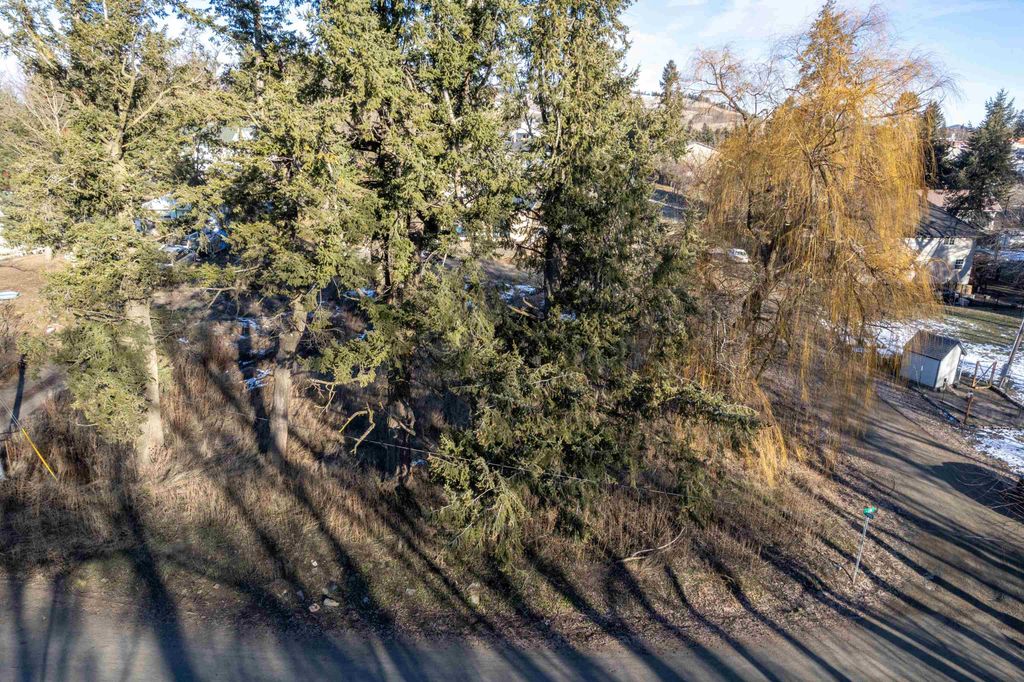 XXX Truax St, Tekoa, WA 99003 photo 8