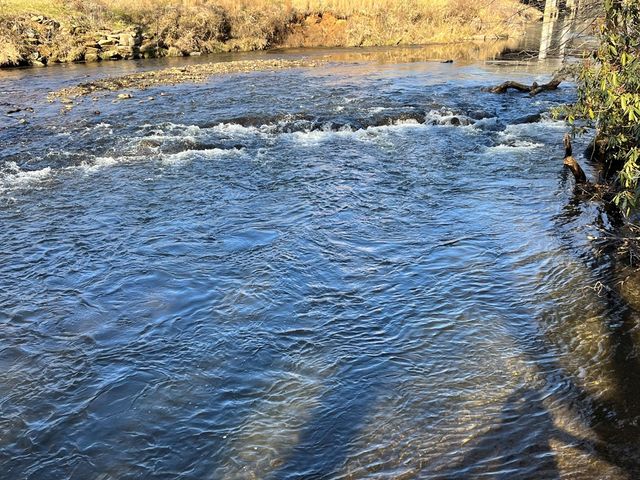 172 Gardenia Court, Marble, NC 28905