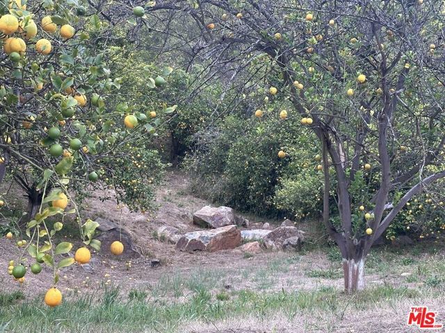 45600 Calle Jardin, Temecula, CA 92590