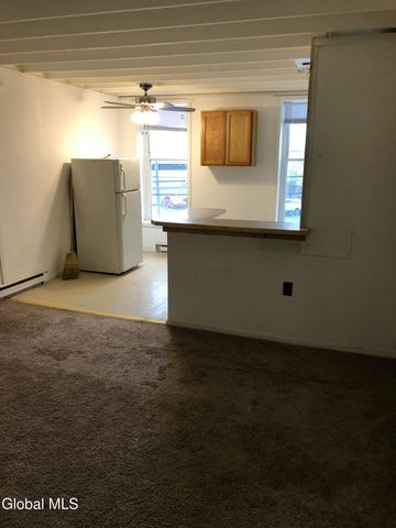 427 S Pearl Street, Albany, NY 12202