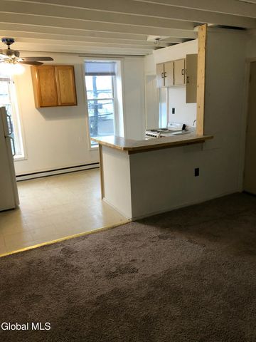 427 S Pearl Street, Albany, NY 12202