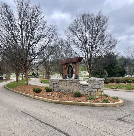 1504 Buckskin Ct, Thompsons Station, TN 37179