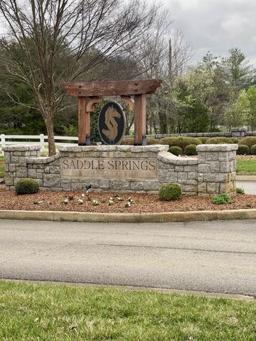 1504 Buckskin Ct, Thompsons Station, TN 37179