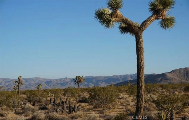 2172 Conejo, Joshua Tree, CA 92252