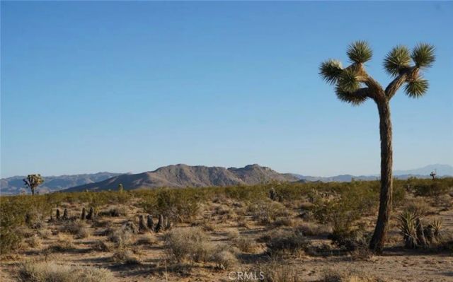 2172 Conejo, Joshua Tree, CA 92252