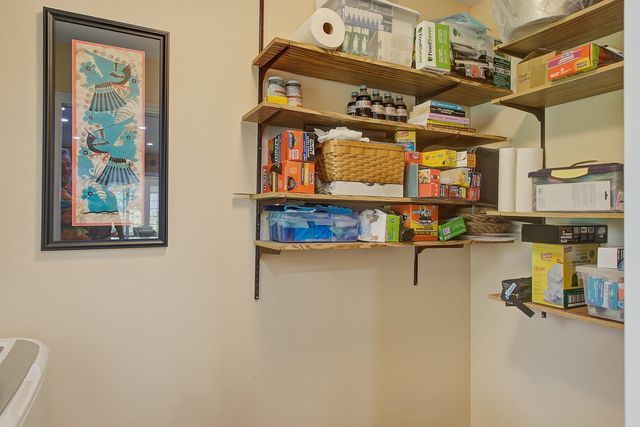 667 Serotina Court, Mount Pleasant, SC 29464